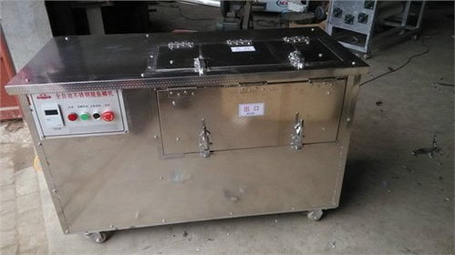 金森机械 专业供应全自动不锈钢鱼鳞机与多功能食品设备，厂家直销，品质保障